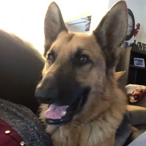 Meet your Posher, Monique